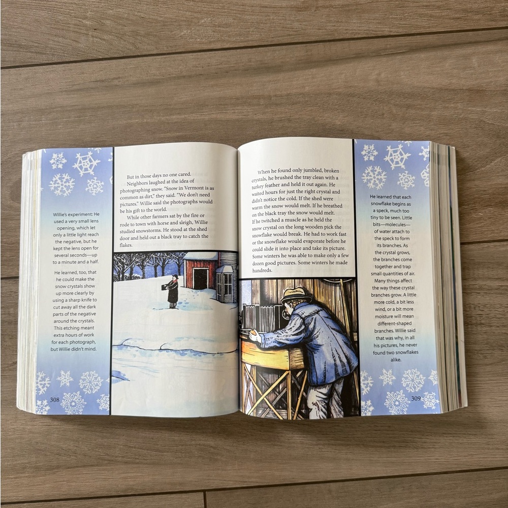 BJU Press Reading 4 Voyages Book homeschool - Picture 3 of 4